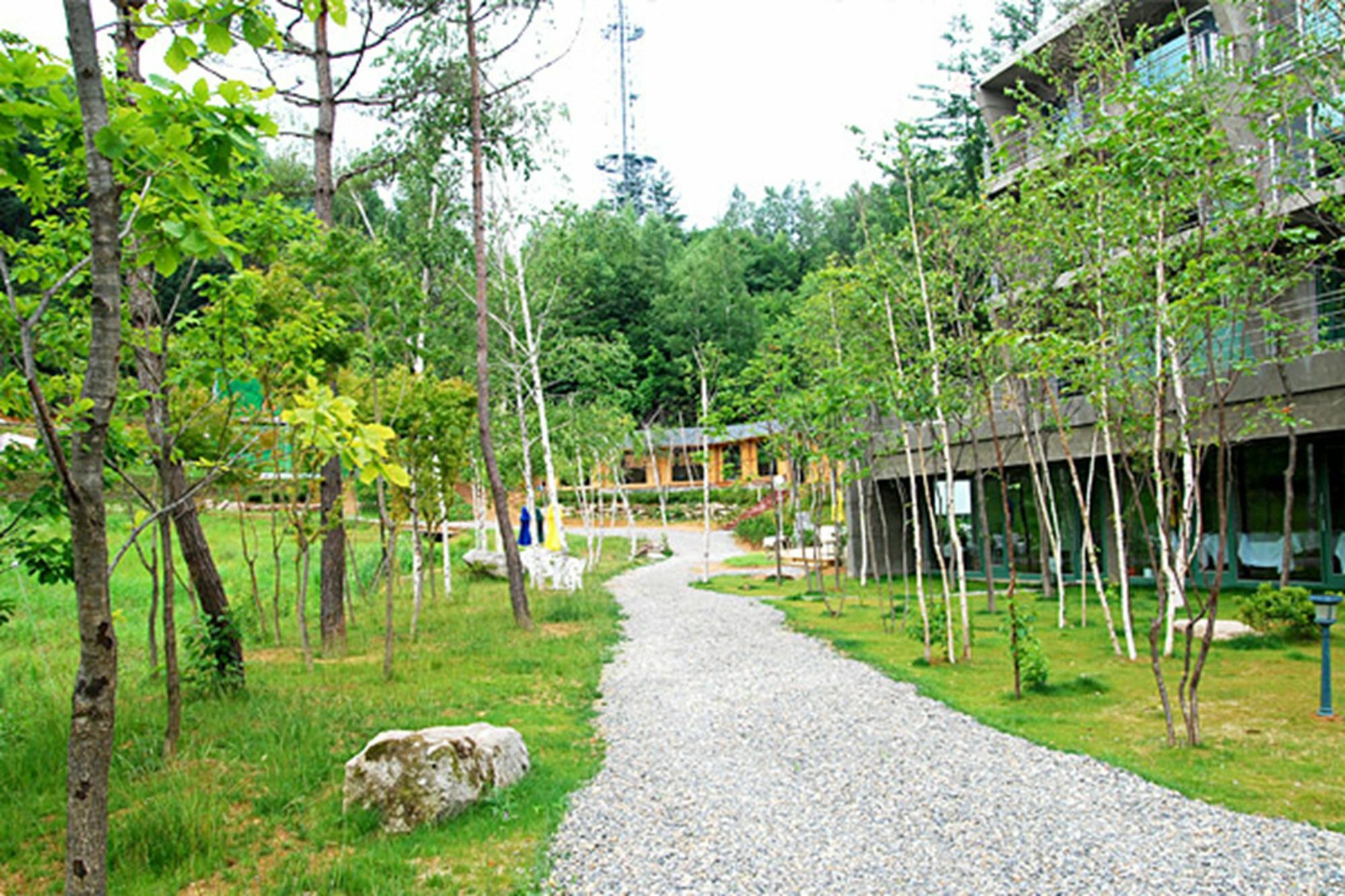 Pyeongchang The Sky Forest Hotel Buitenkant foto